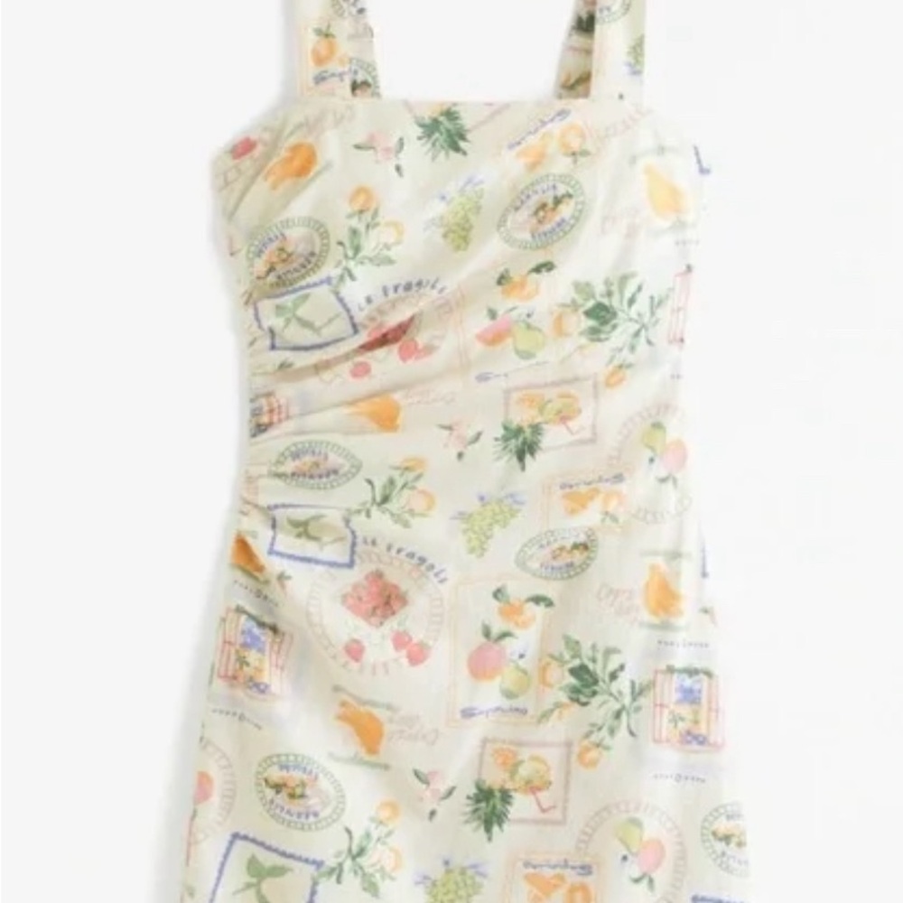 Abercrombie & Fitch Linen Ruched Dress in Italia Print ST